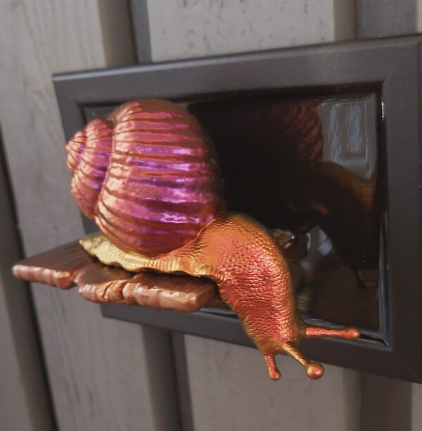 Snail looking down - Image 2