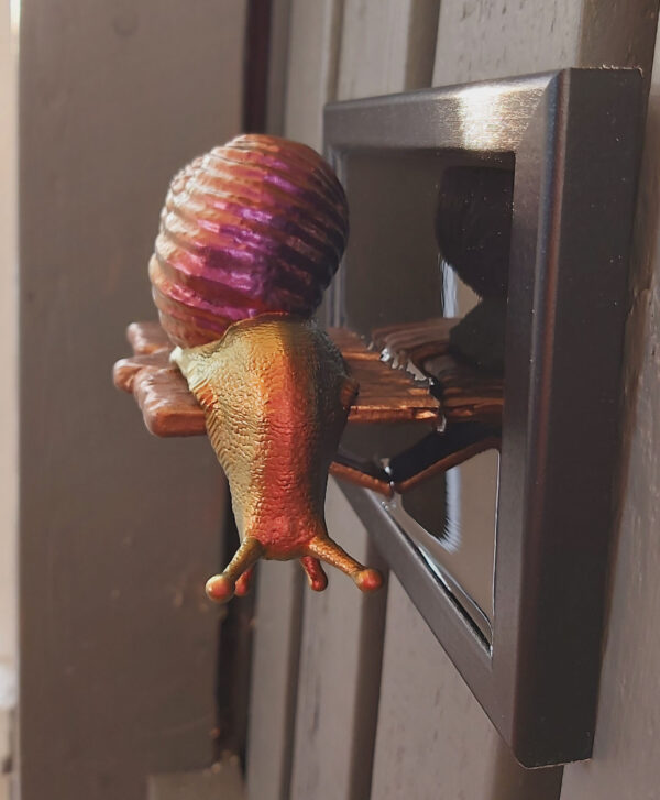 Snail looking down - Image 3