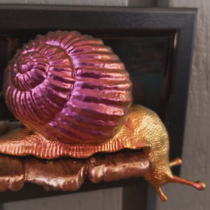Snail looking down