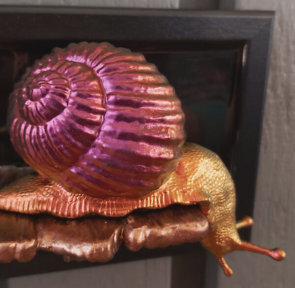 Snail looking down