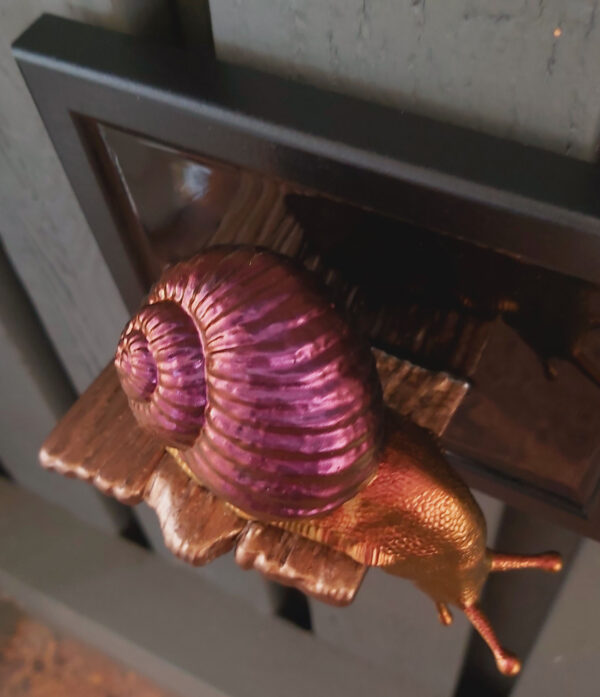 Snail looking down - Image 4