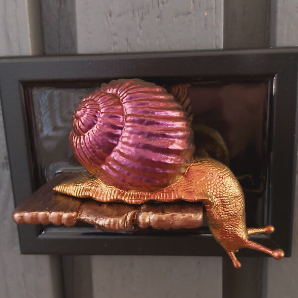 Snail looking down - Image 5