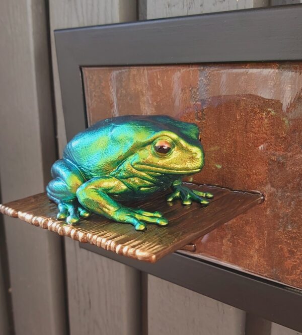 Australian green tree frog - Image 2