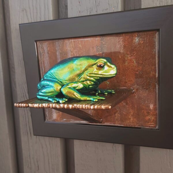 Australian green tree frog - Image 5