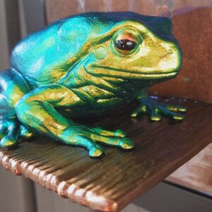 Australian green tree frog