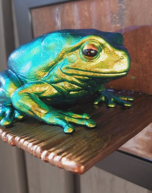 Australian green tree frog