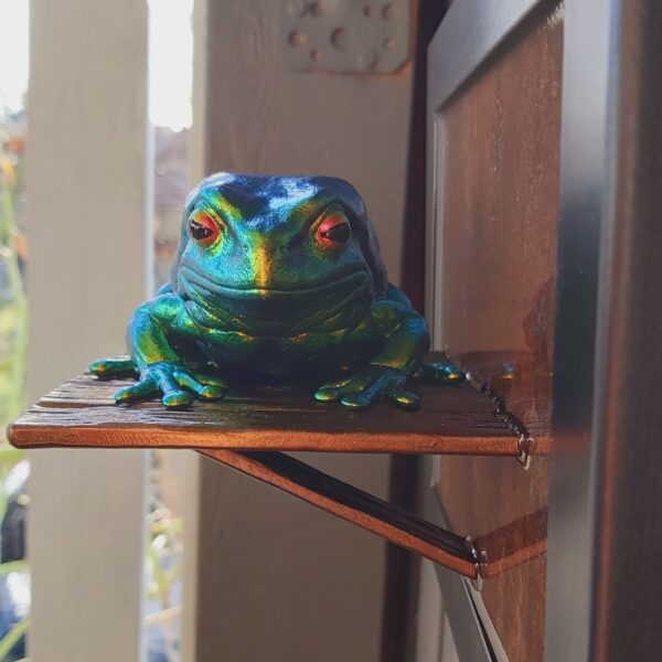 Australian green tree frog - Image 3