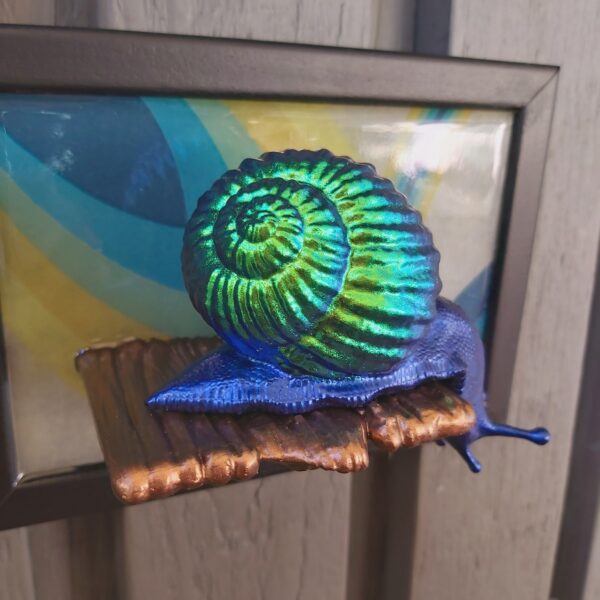 Snail looking down - Image 4