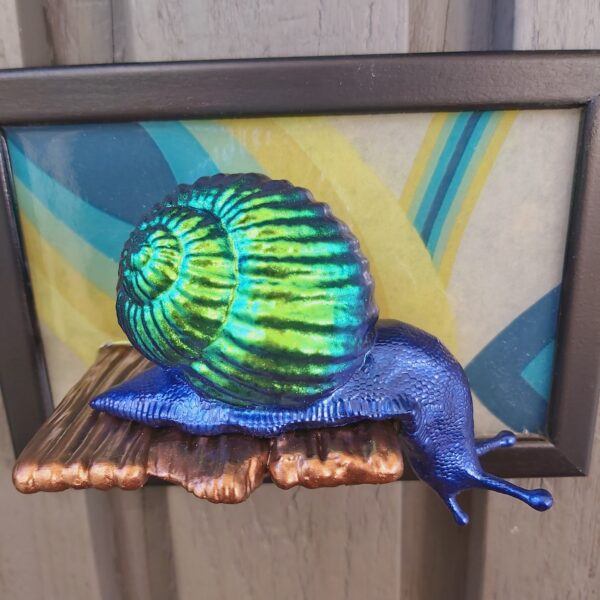 Snail looking down - Image 5