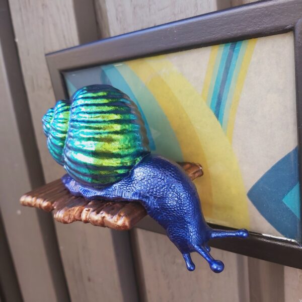 Snail looking down - Image 6