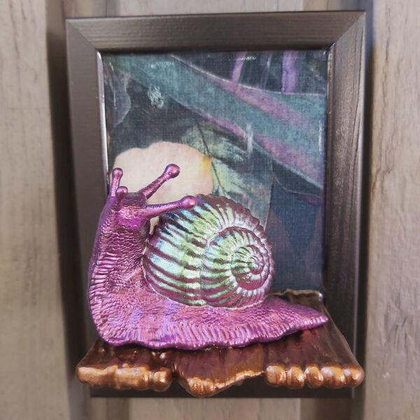 Snail looking up - Image 6