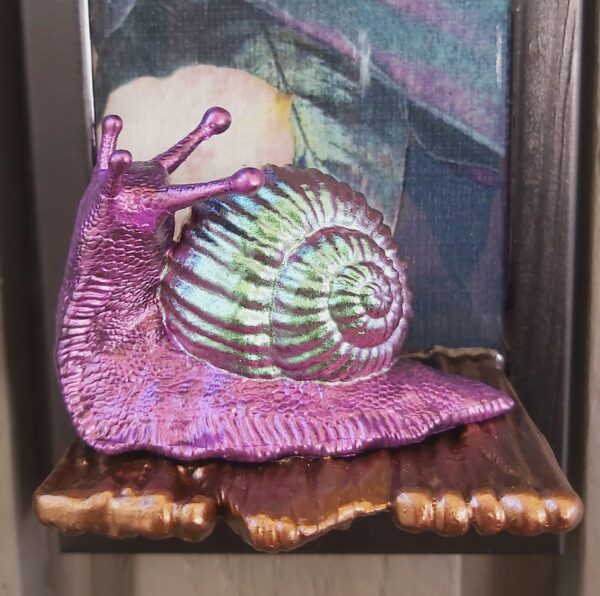 Snail looking up