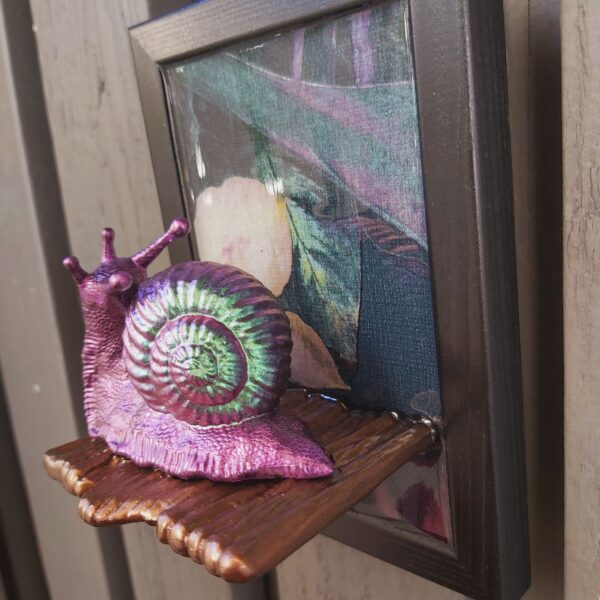 Snail looking up - Image 2