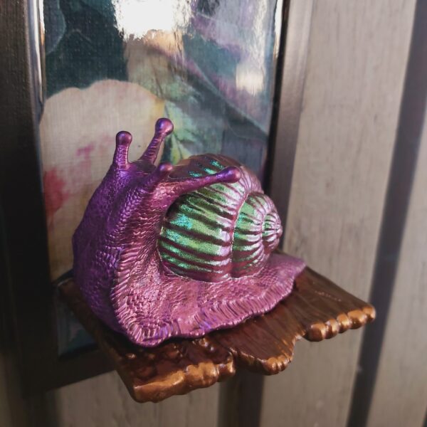 Snail looking up - Image 4