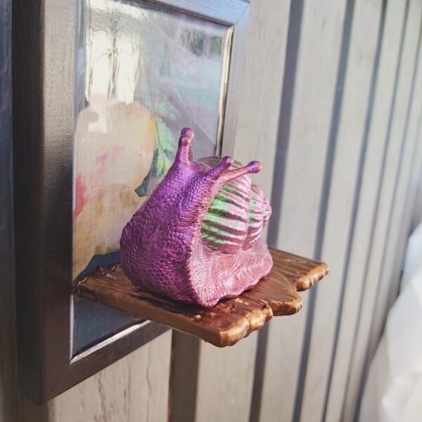 Snail looking up - Image 5