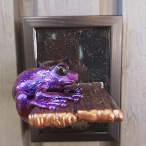 Maroon-eyed frog on shelf