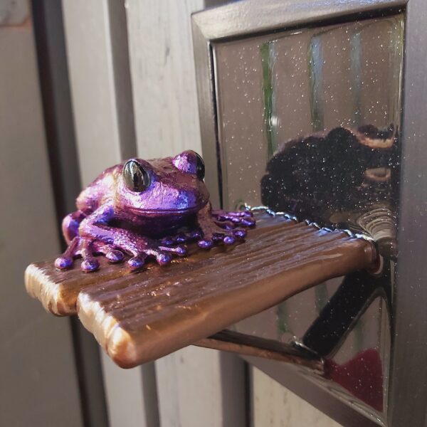 Maroon-eyed frog on shelf - Image 3