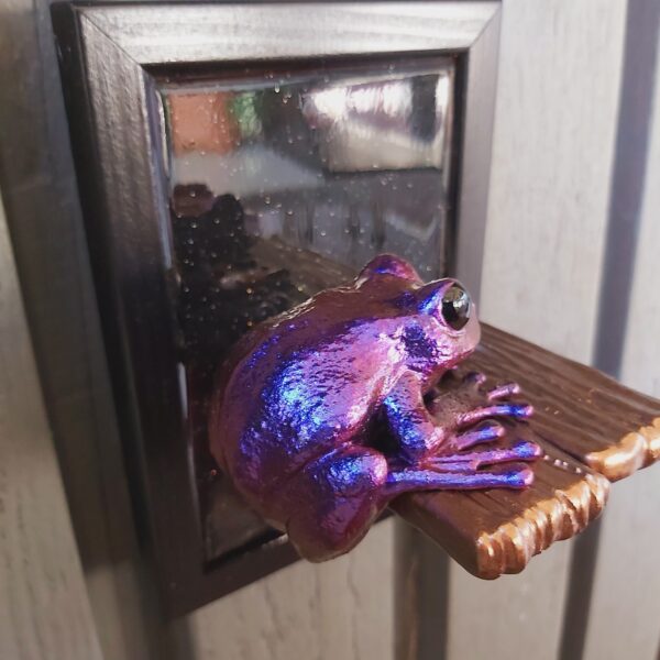 Maroon-eyed frog on shelf - Image 5
