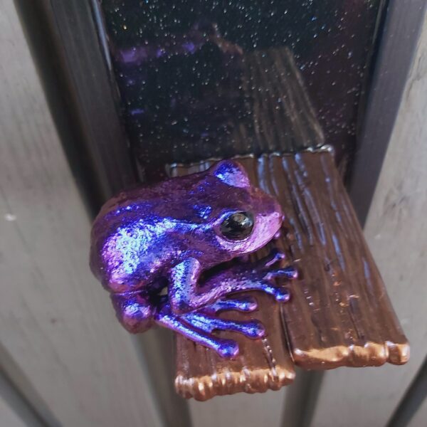 Maroon-eyed frog on shelf - Image 2