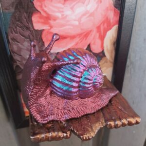 Snail looking up