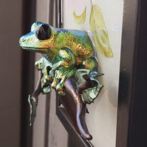 Maroon-eyed frog facing out