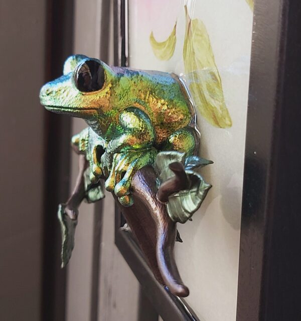 Maroon-eyed frog facing out