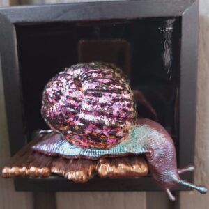 Snail looking down