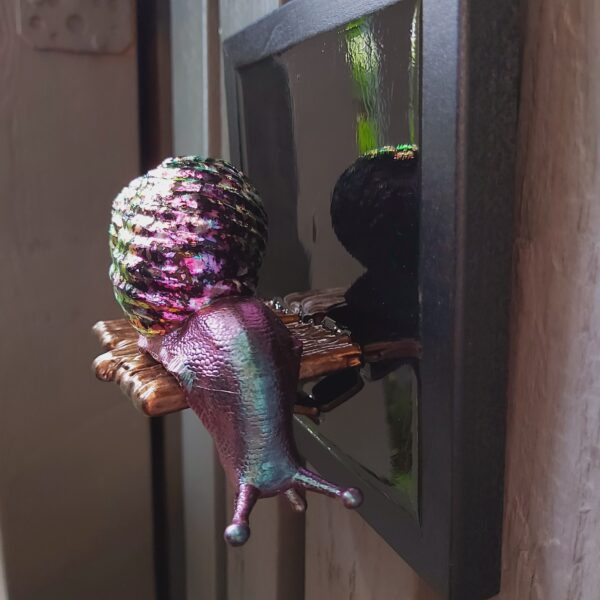 Snail looking down - Image 2