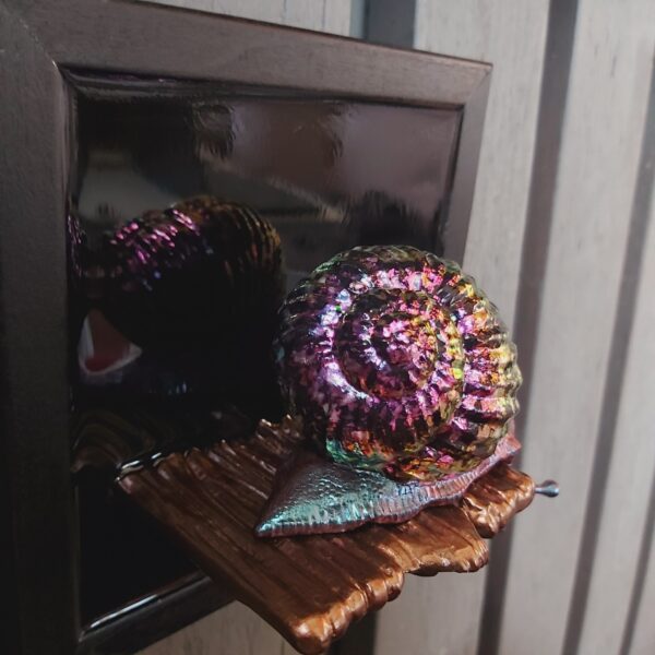 Snail looking down - Image 3