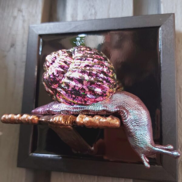 Snail looking down - Image 4