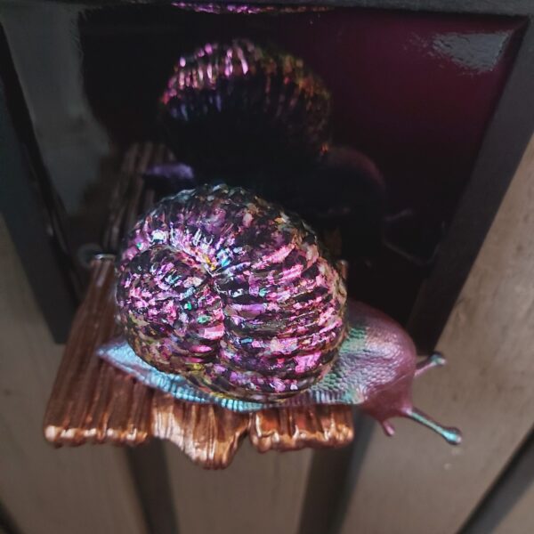Snail looking down - Image 5