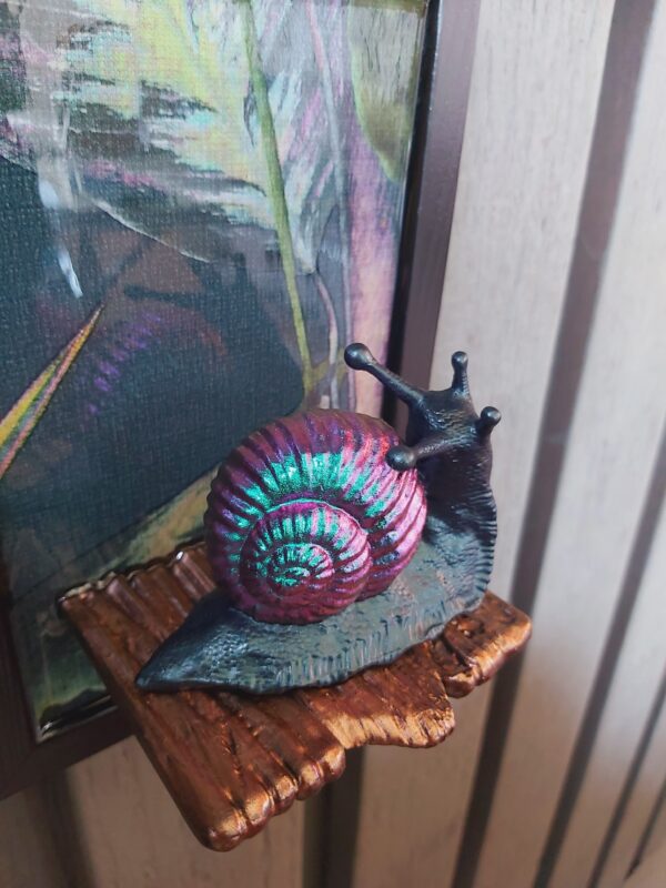 Snail looking up - Image 2