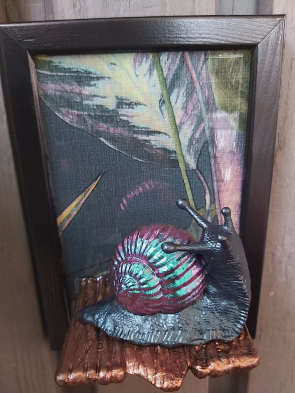 Snail looking up - Image 4