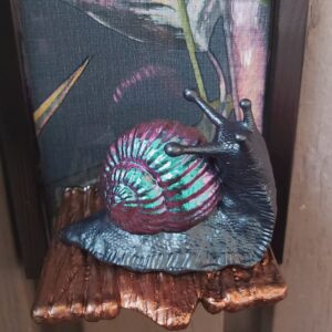 Snail looking up