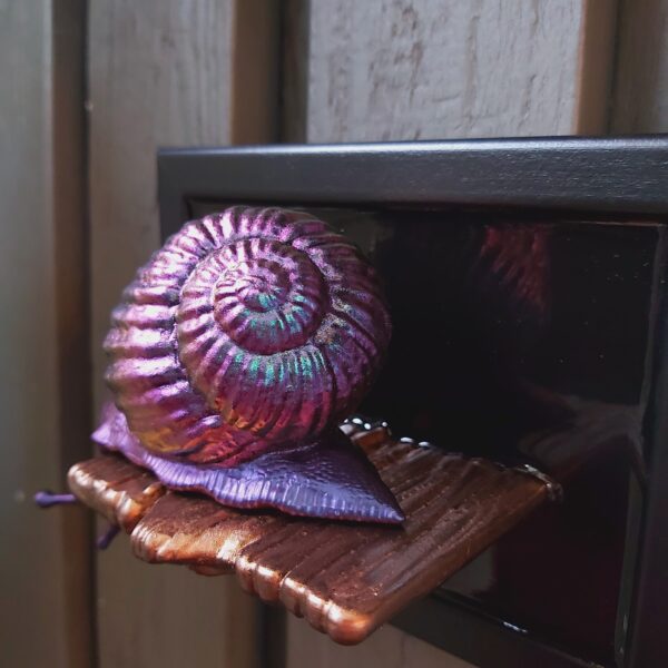 Snail looking down - Image 5