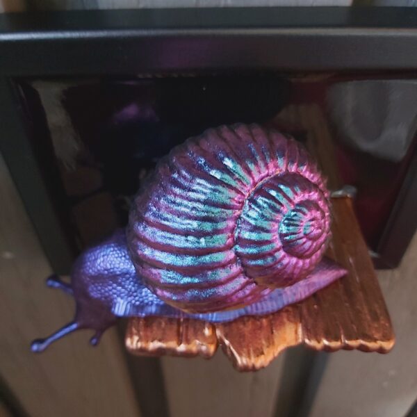 Snail looking down - Image 6
