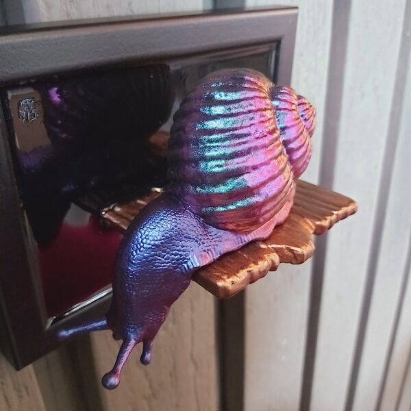 Snail looking down - Image 2