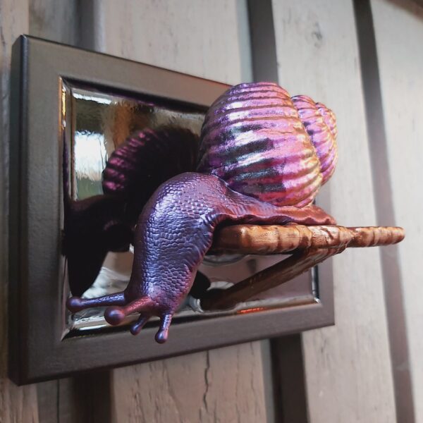Snail looking down - Image 3