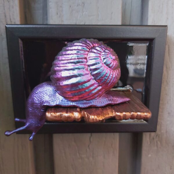 Snail looking down - Image 4