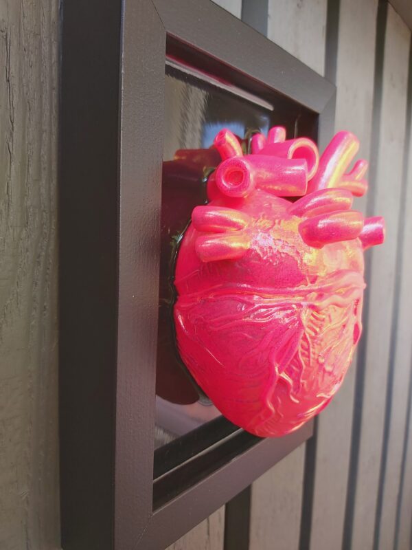 Anatomical Heart - Image 5