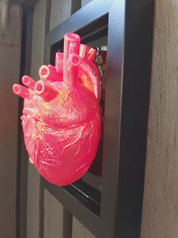 Anatomical Heart - Image 2