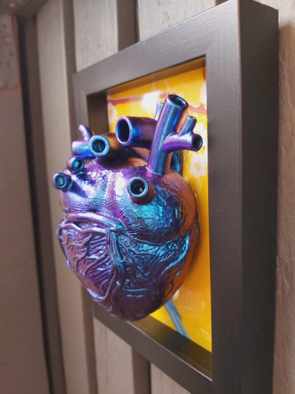 Anatomical Heart - Image 6