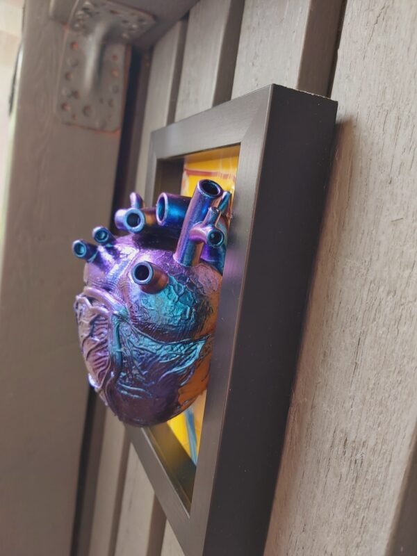 Anatomical Heart - Image 7
