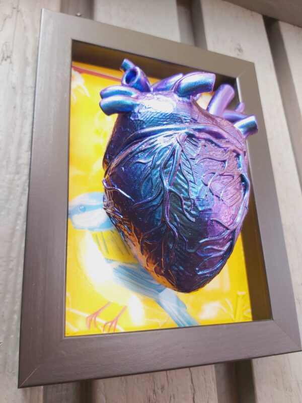 Anatomical Heart - Image 4