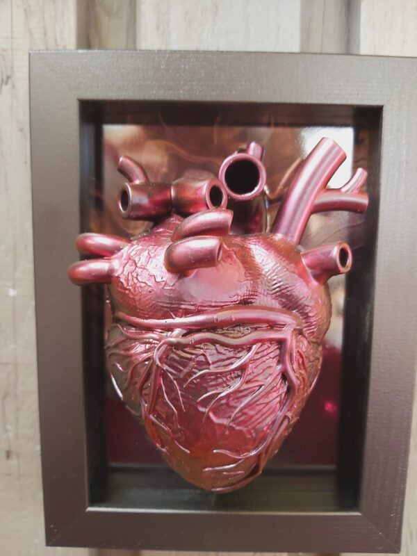 Anatomical Heart - Image 5
