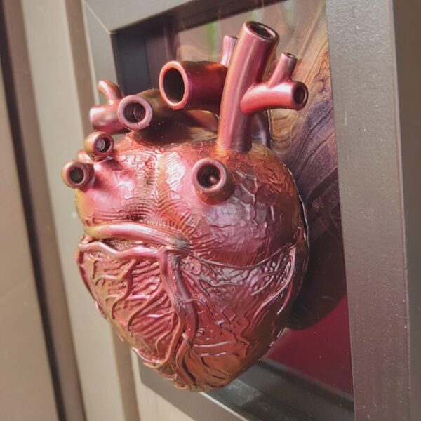 Anatomical Heart