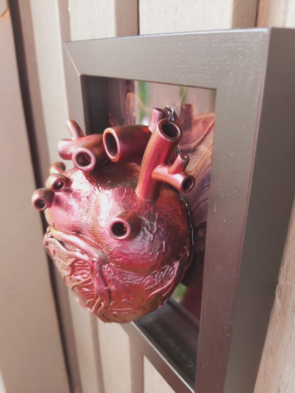 Anatomical Heart - Image 2