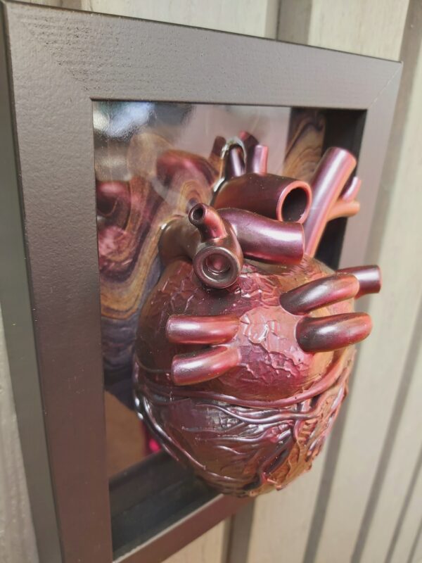 Anatomical Heart - Image 3