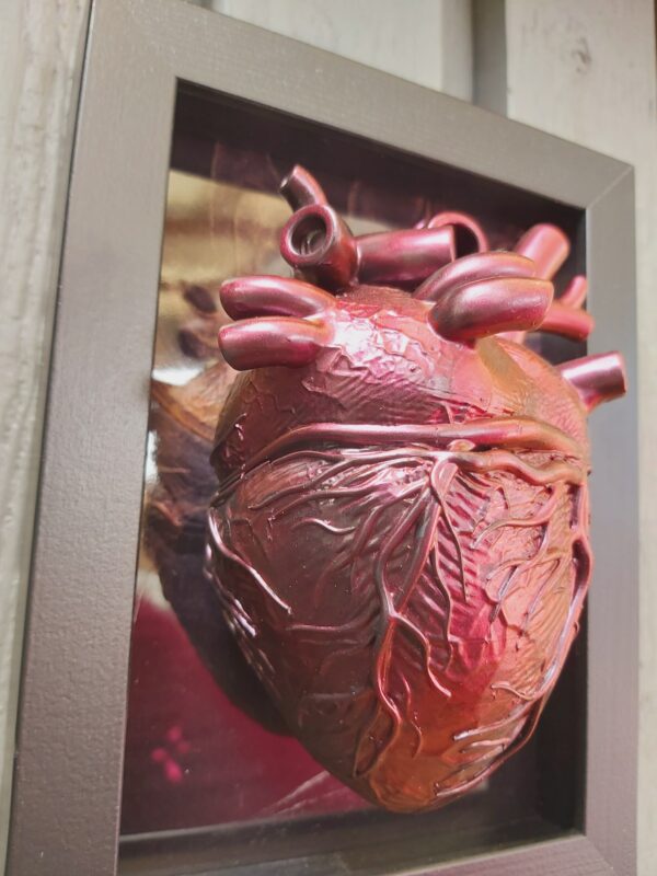 Anatomical Heart - Image 4