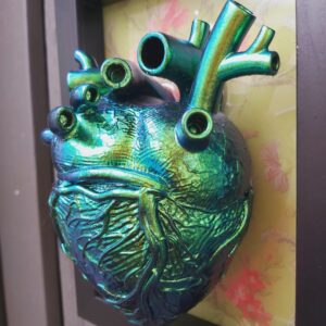Anatomical Heart